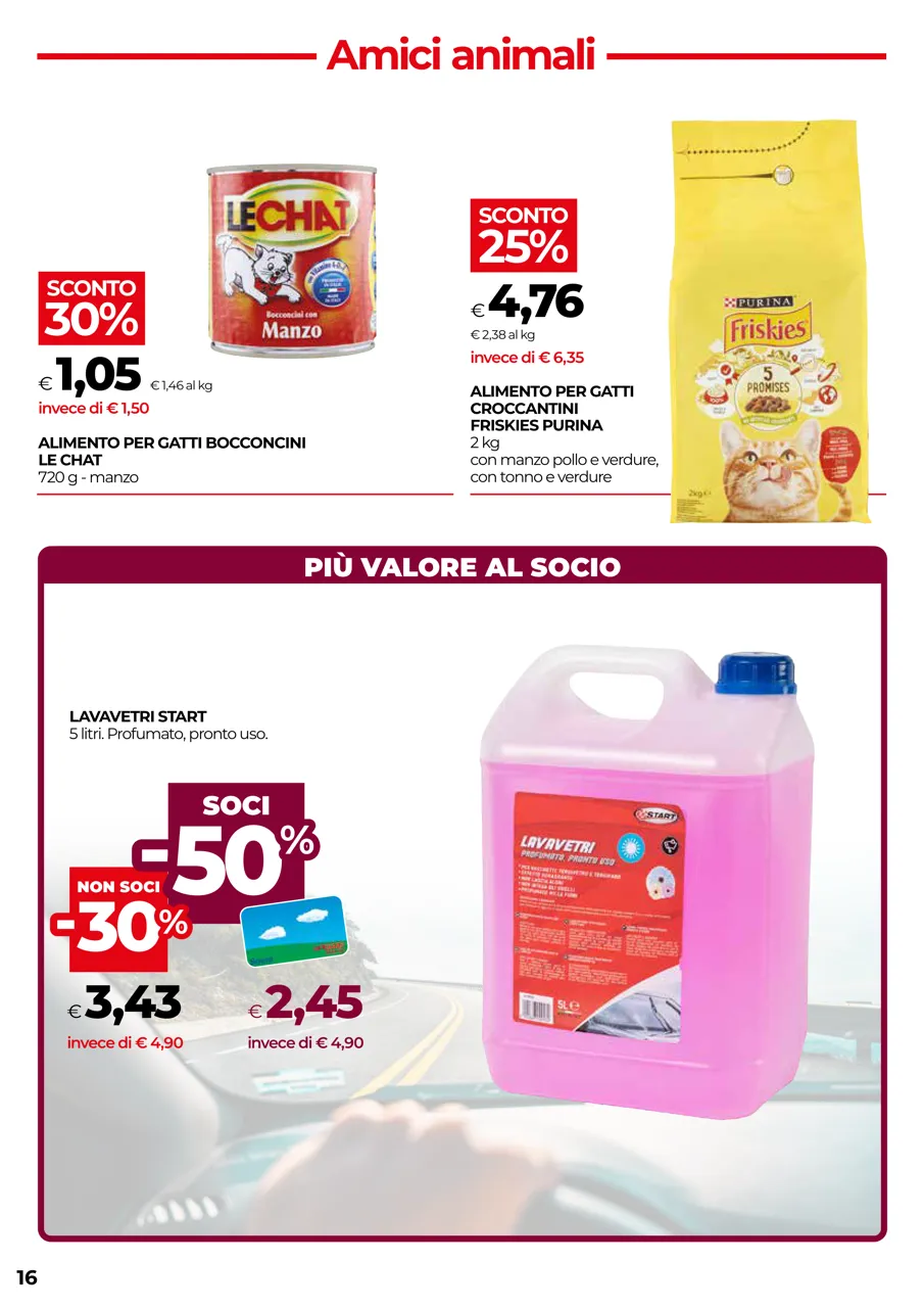 Pagina 16