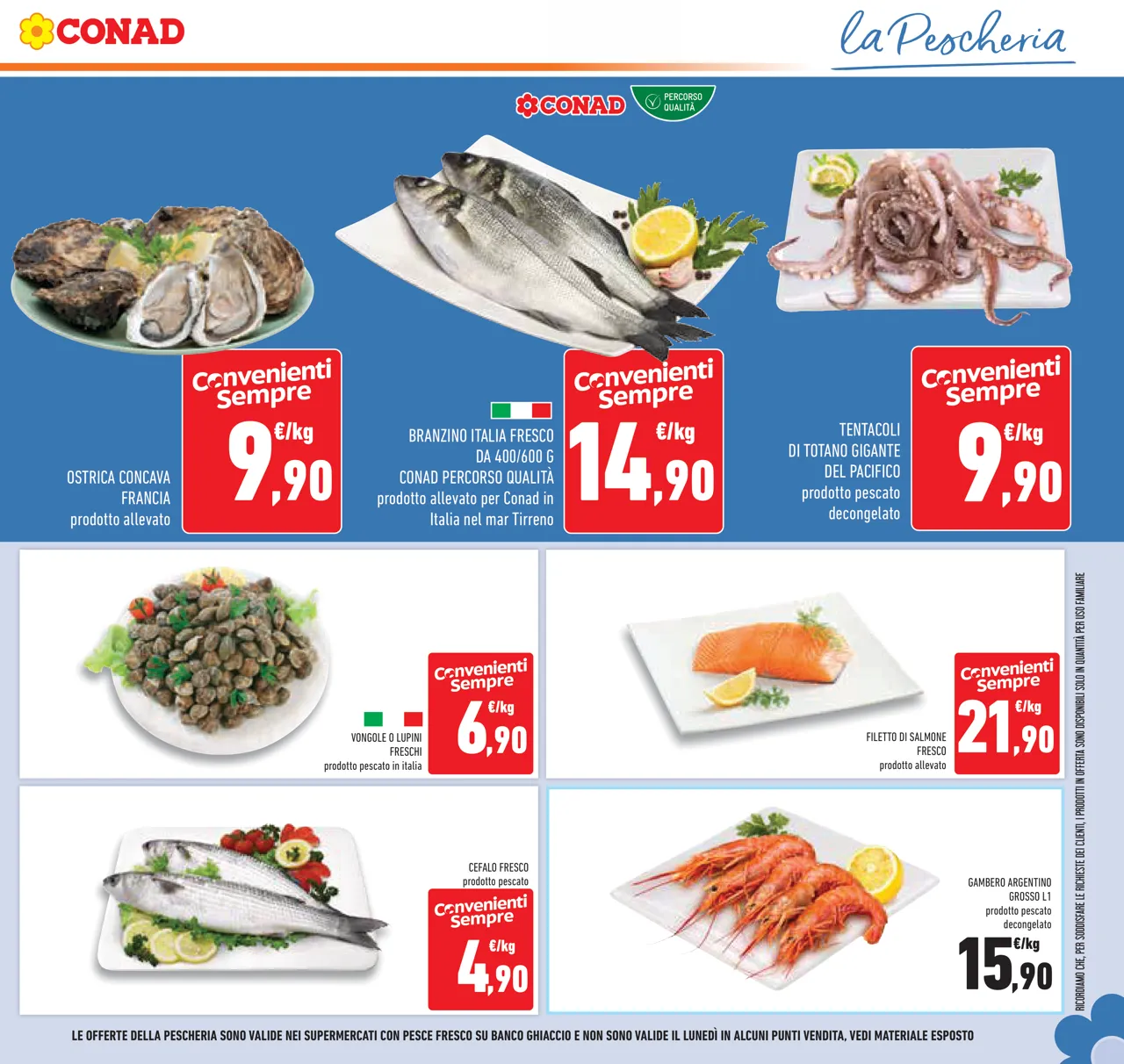 Pagina 11