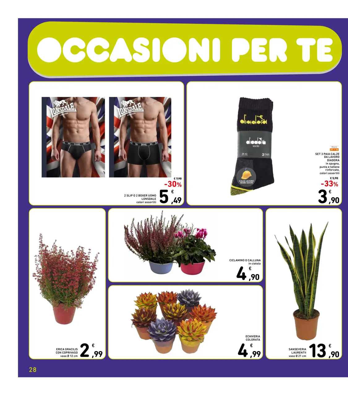 Pagina 28