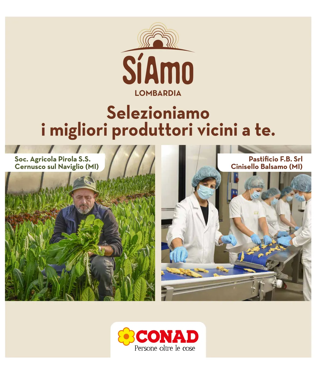 Pagina 31