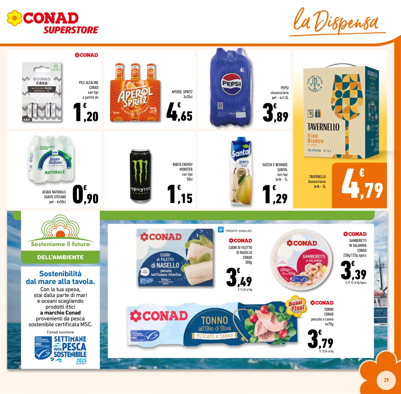 Pagina 29