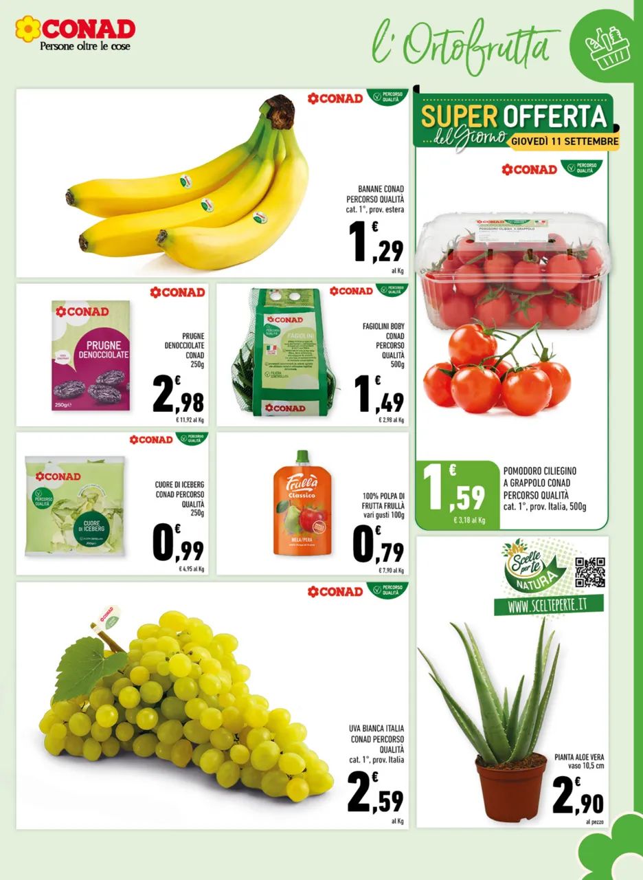 Pagina 5