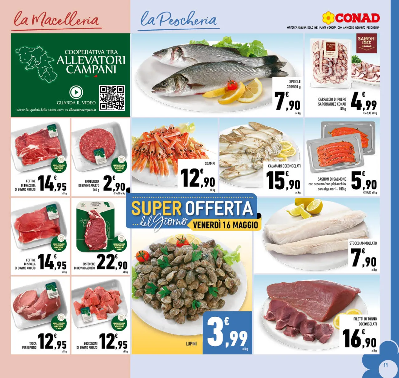 Pagina 11