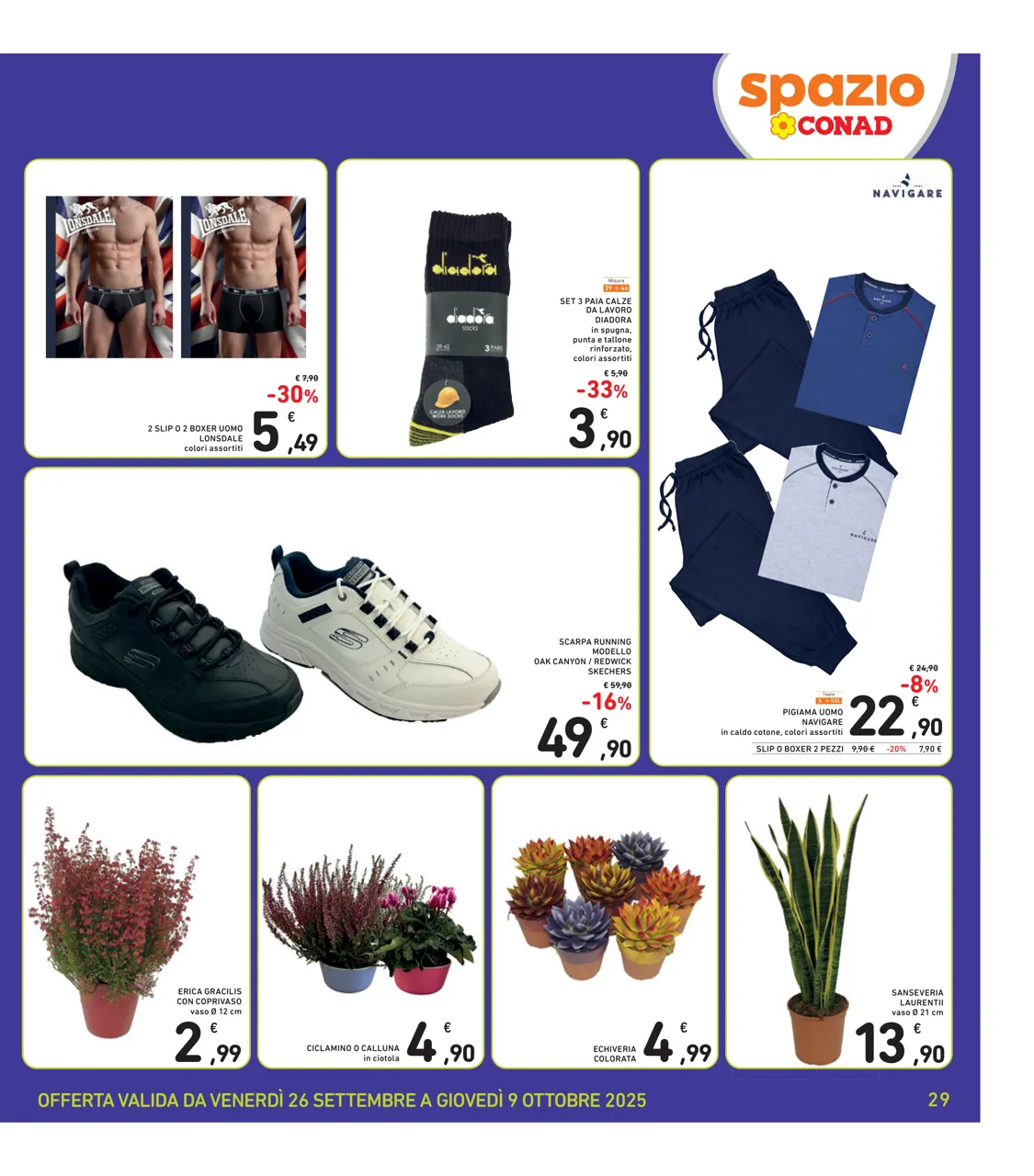 Pagina 29