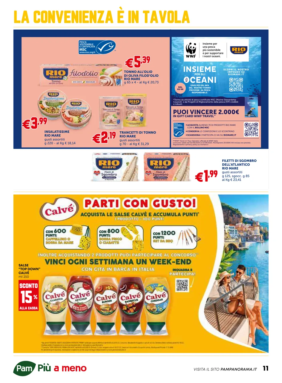 Pagina 11
