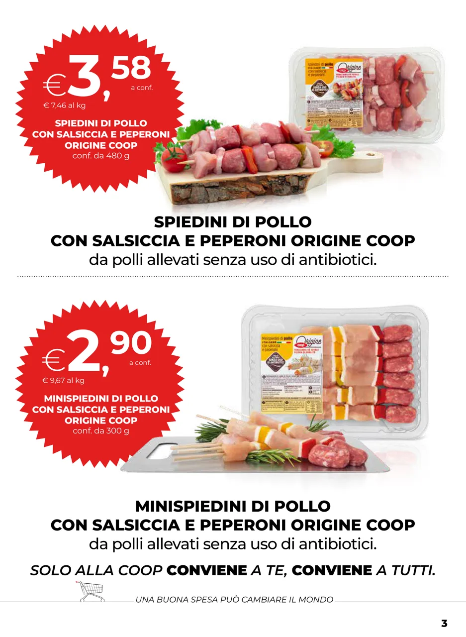 Pagina 3