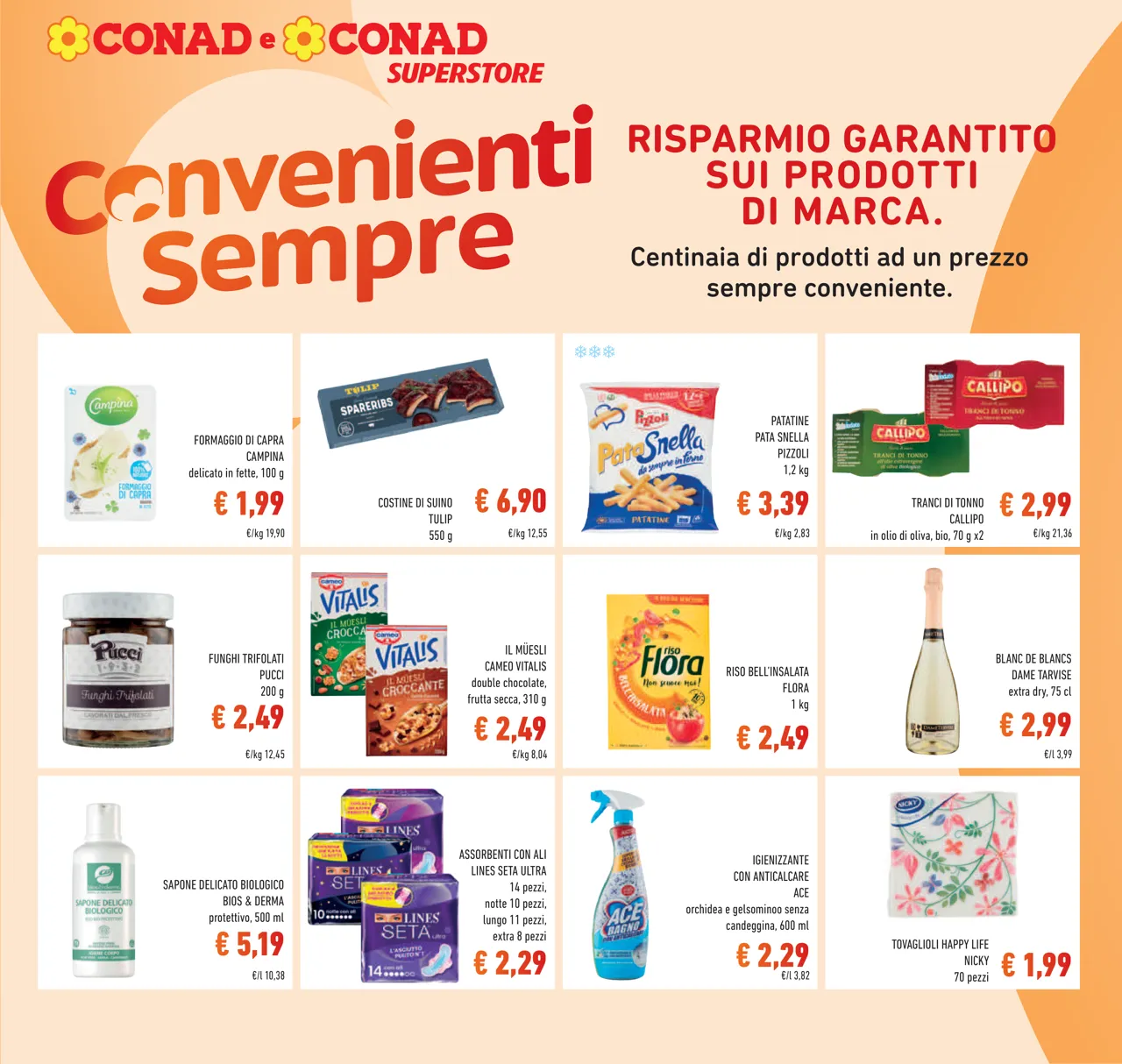 Pagina 19