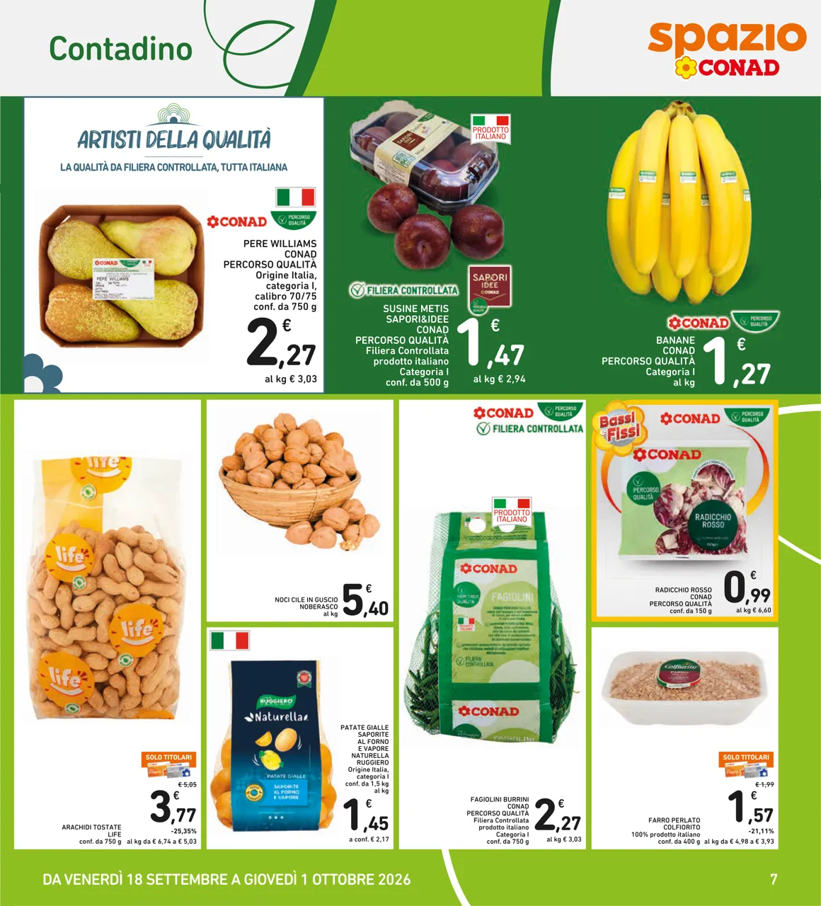 Pagina 7