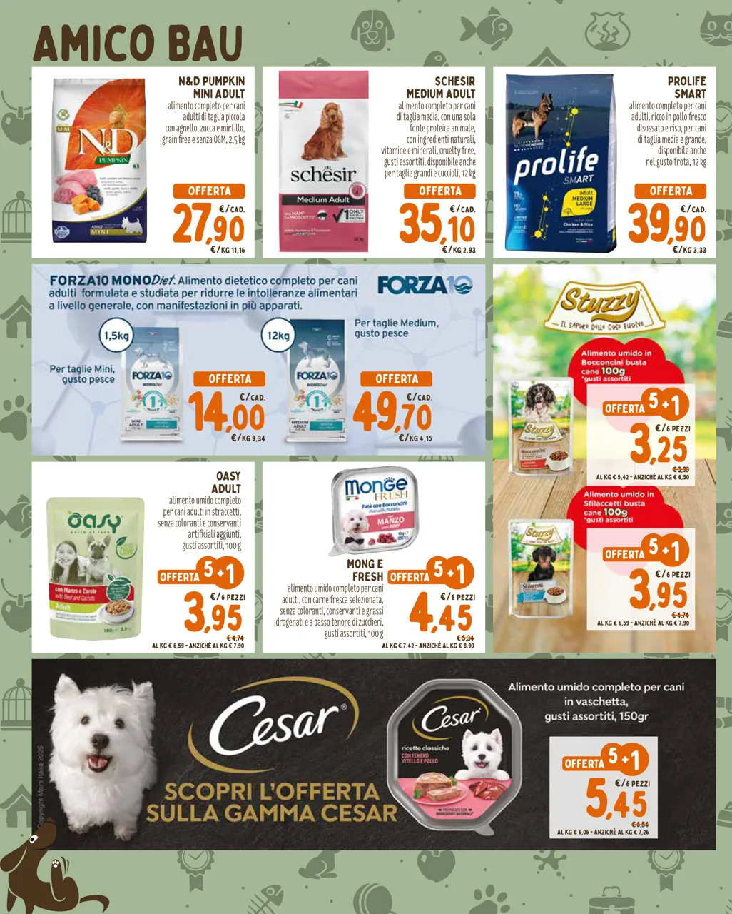 Pagina 2