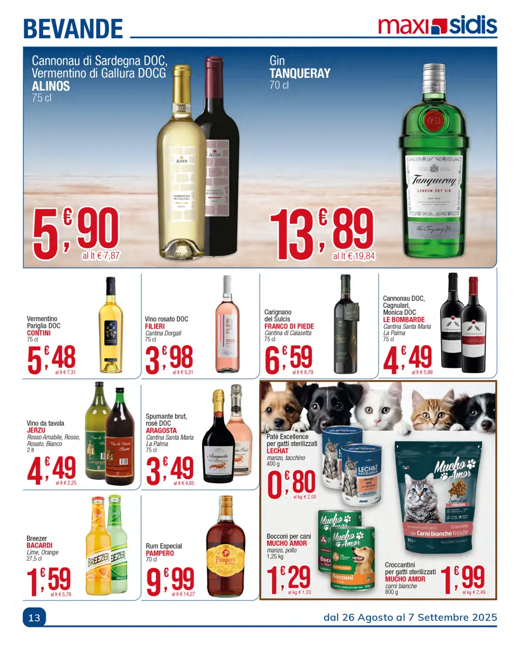 Pagina 13