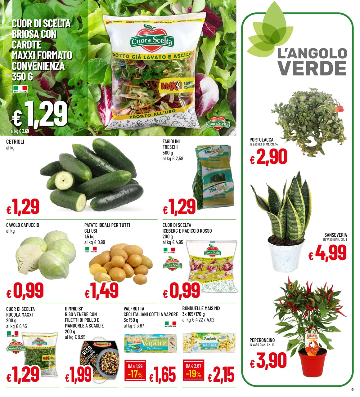 Pagina 5
