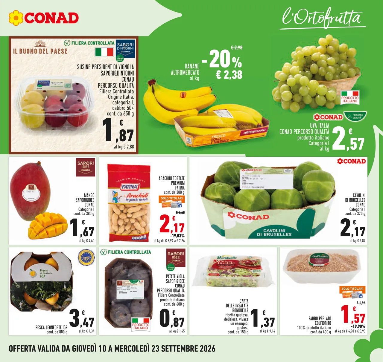 Pagina 5