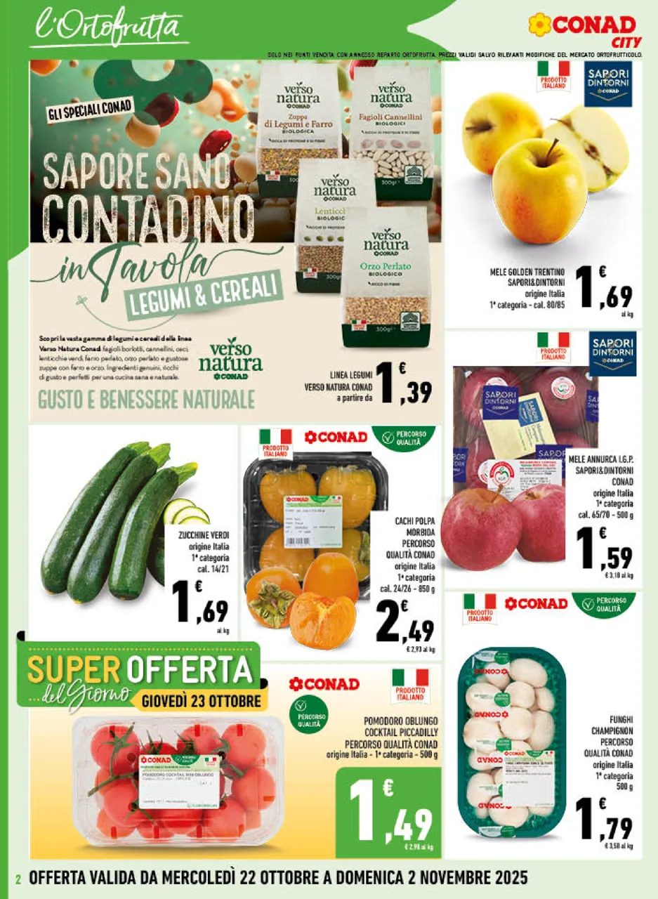Pagina 2