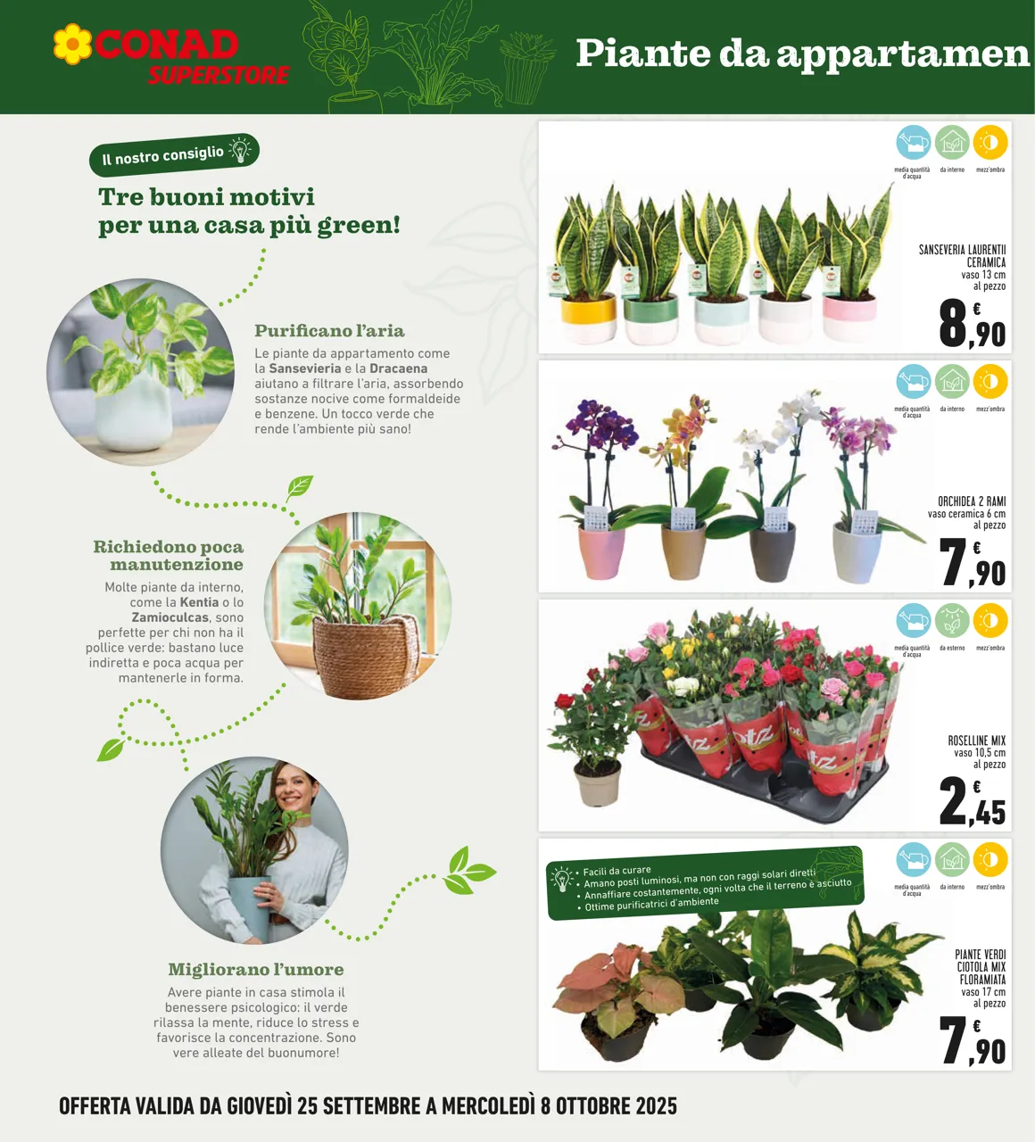 Pagina 6