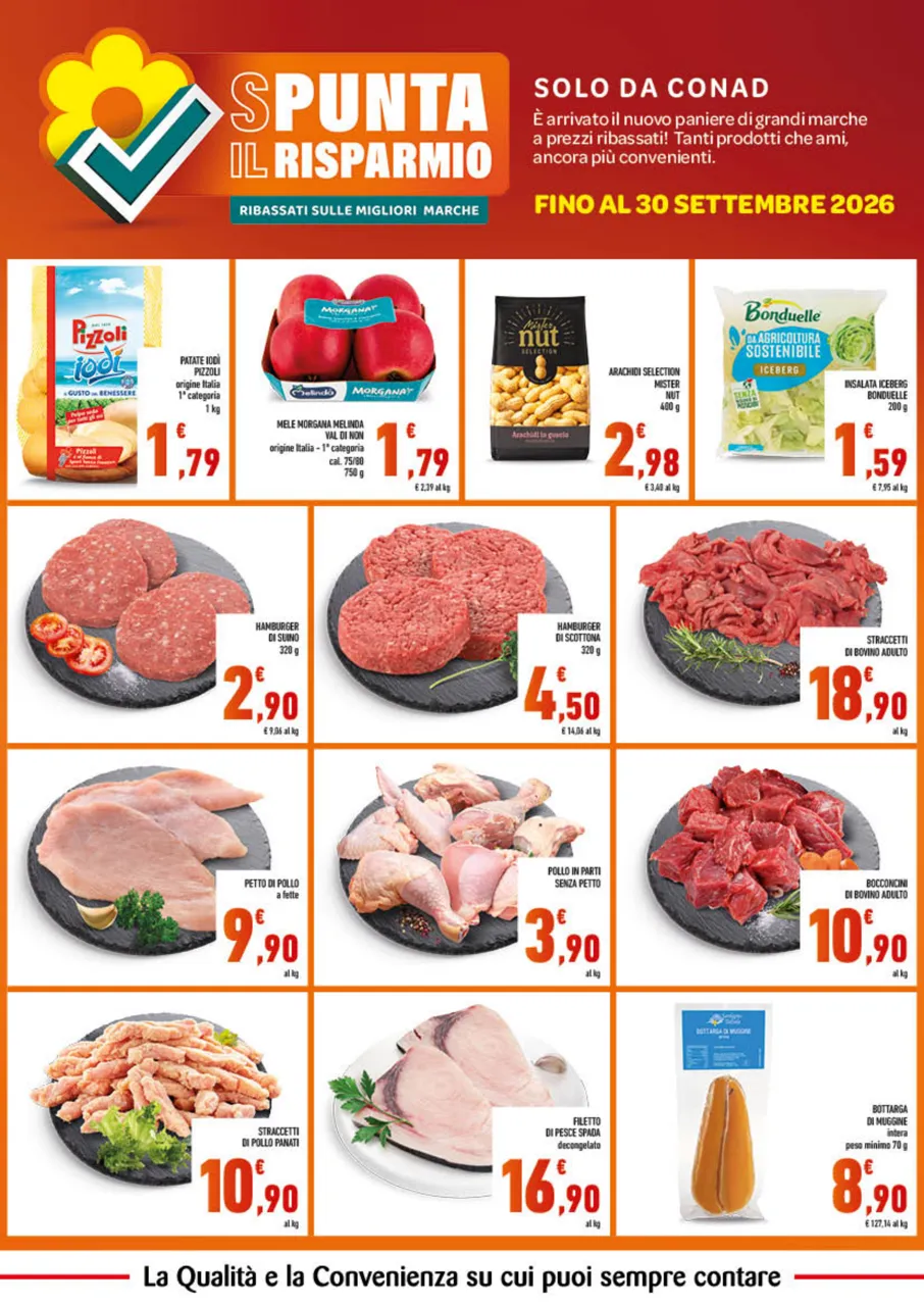 Pagina 2
