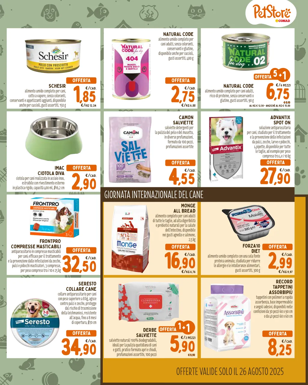 Pagina 3