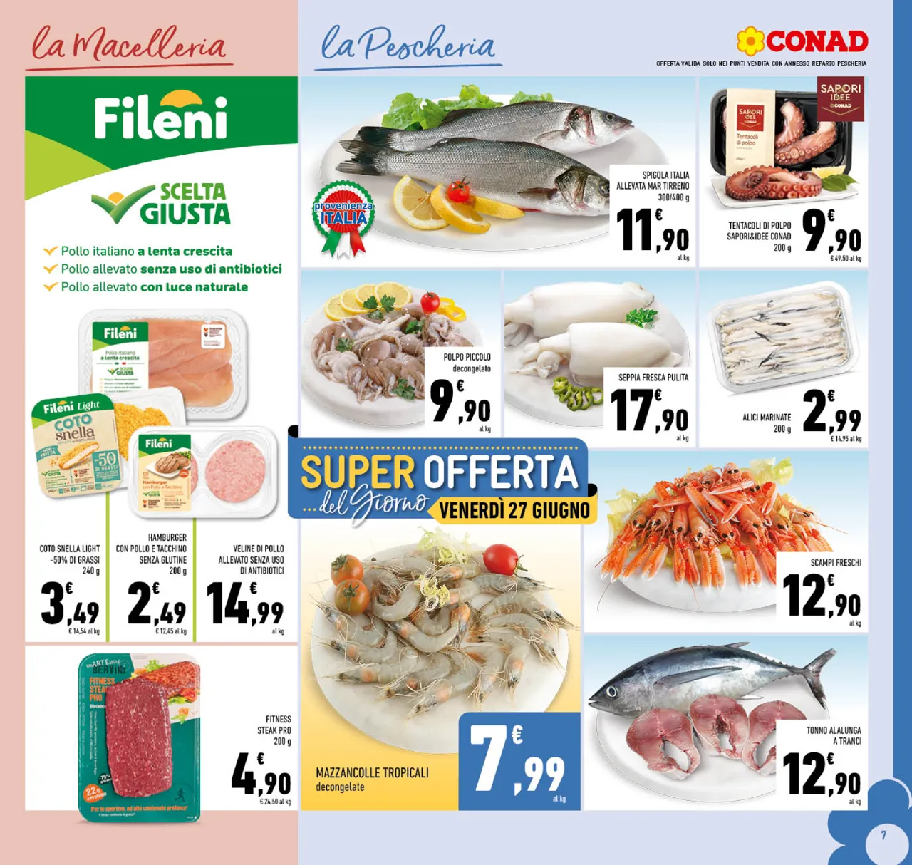 Pagina 7