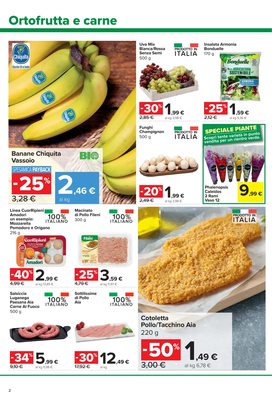 Pagina 2