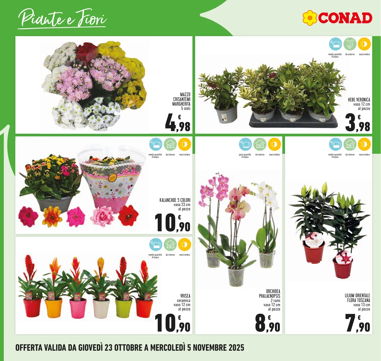 Pagina 26