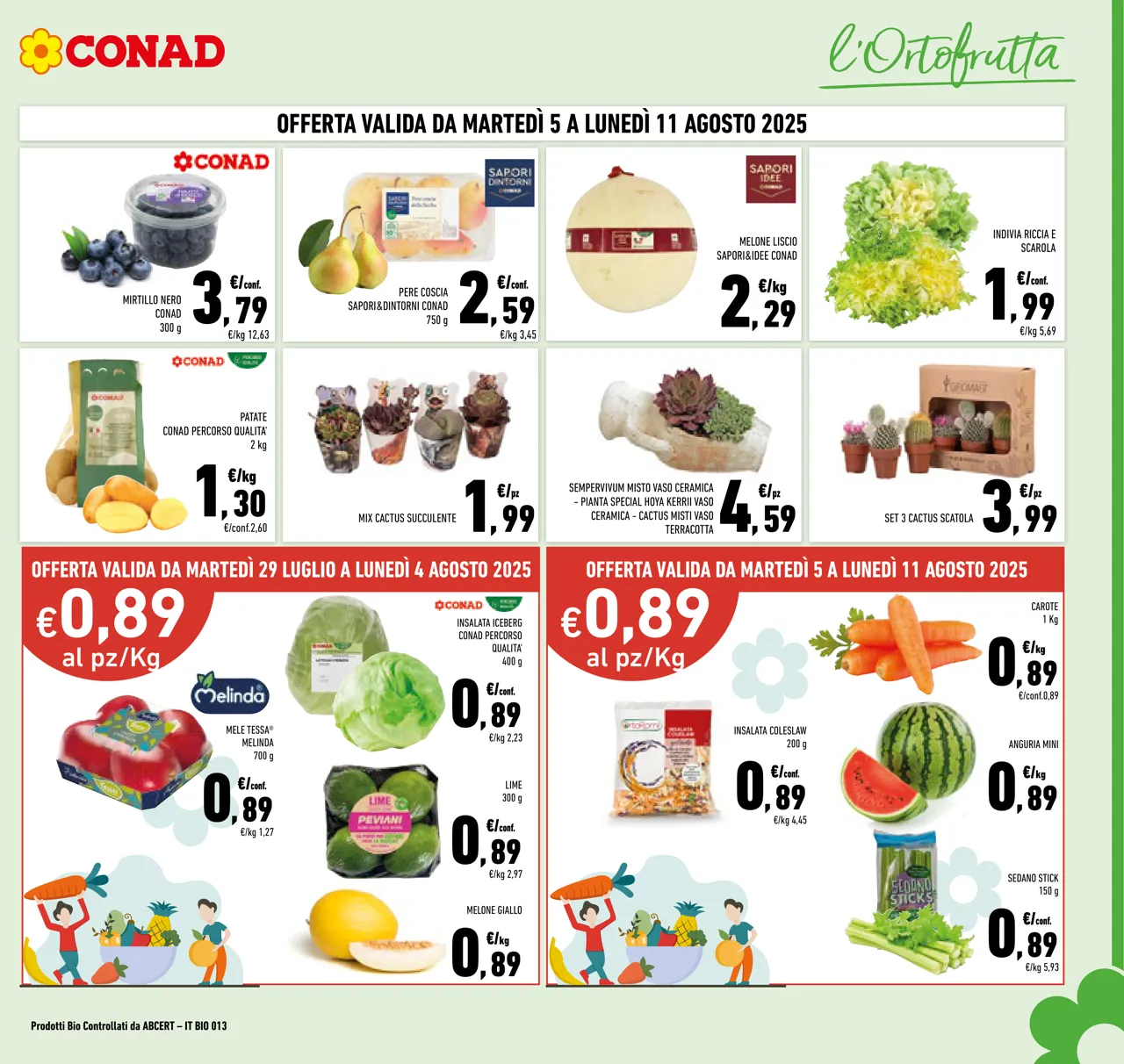 Pagina 7