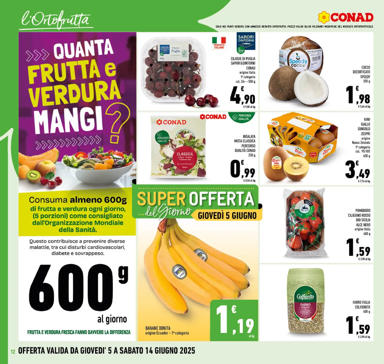 Pagina 12