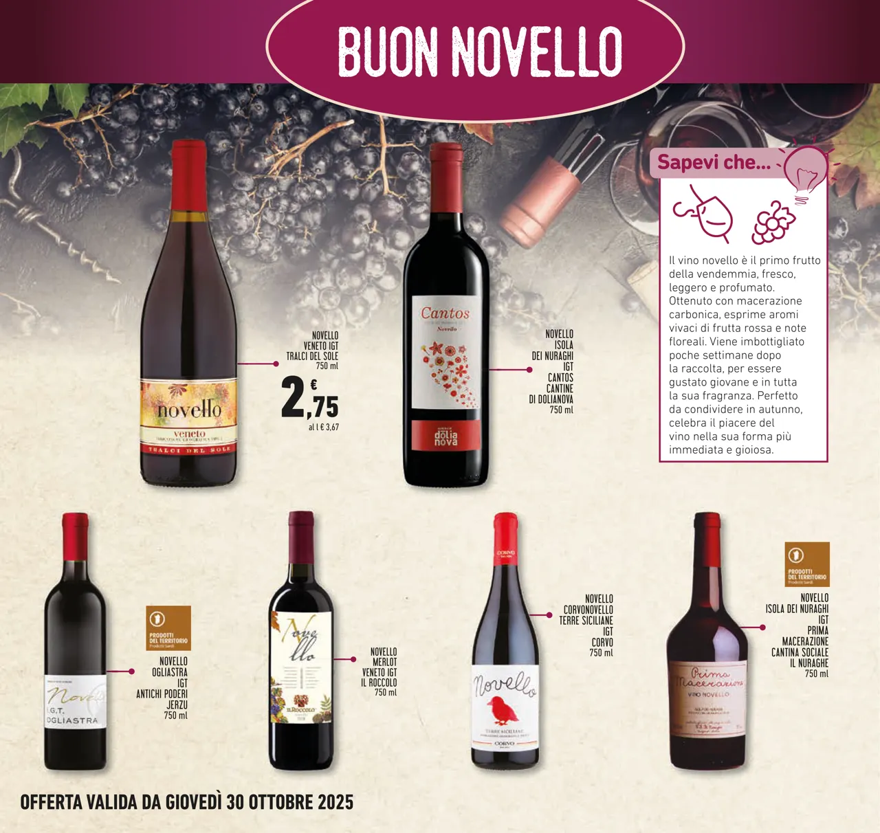 Pagina 19