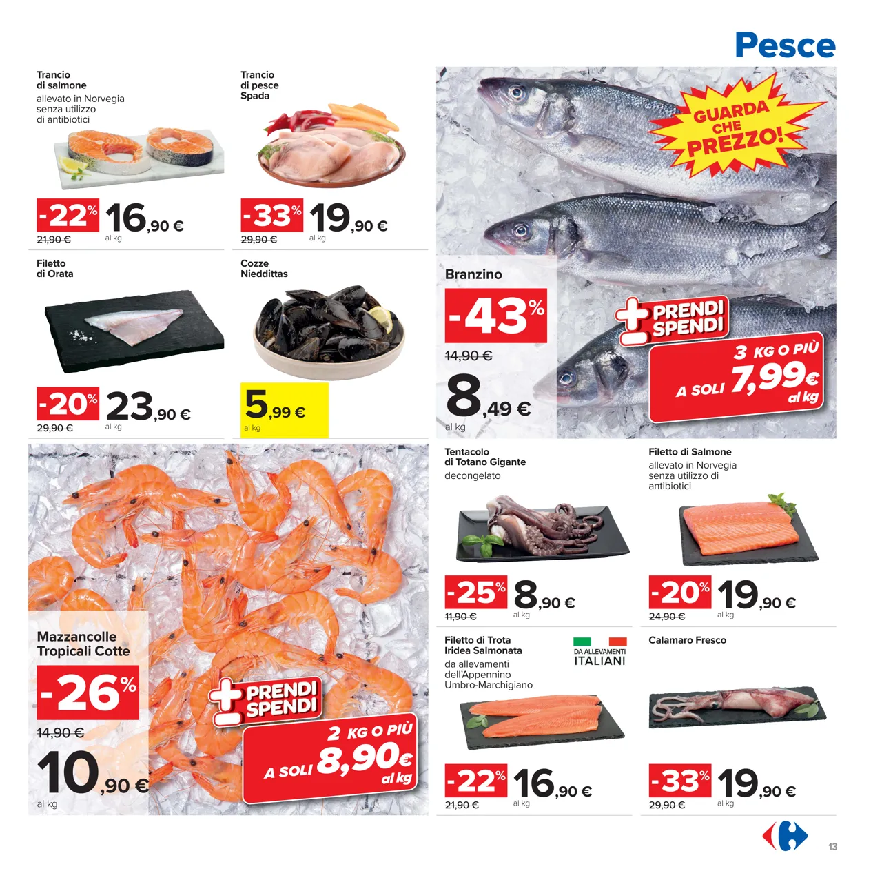 Pagina 13
