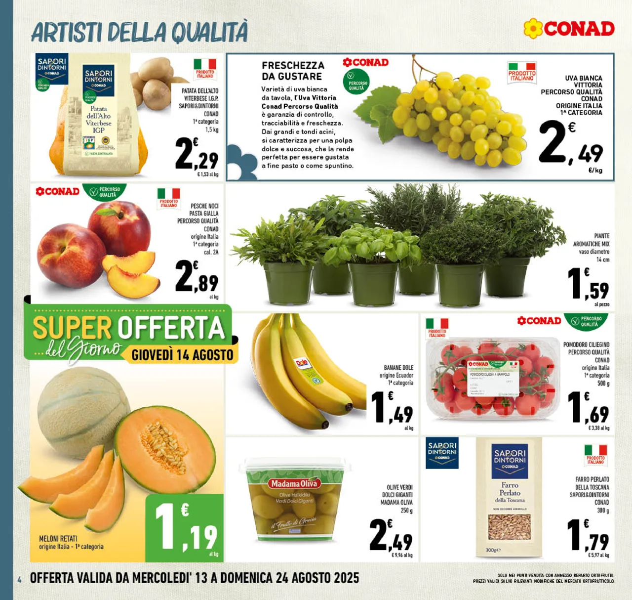 Pagina 4