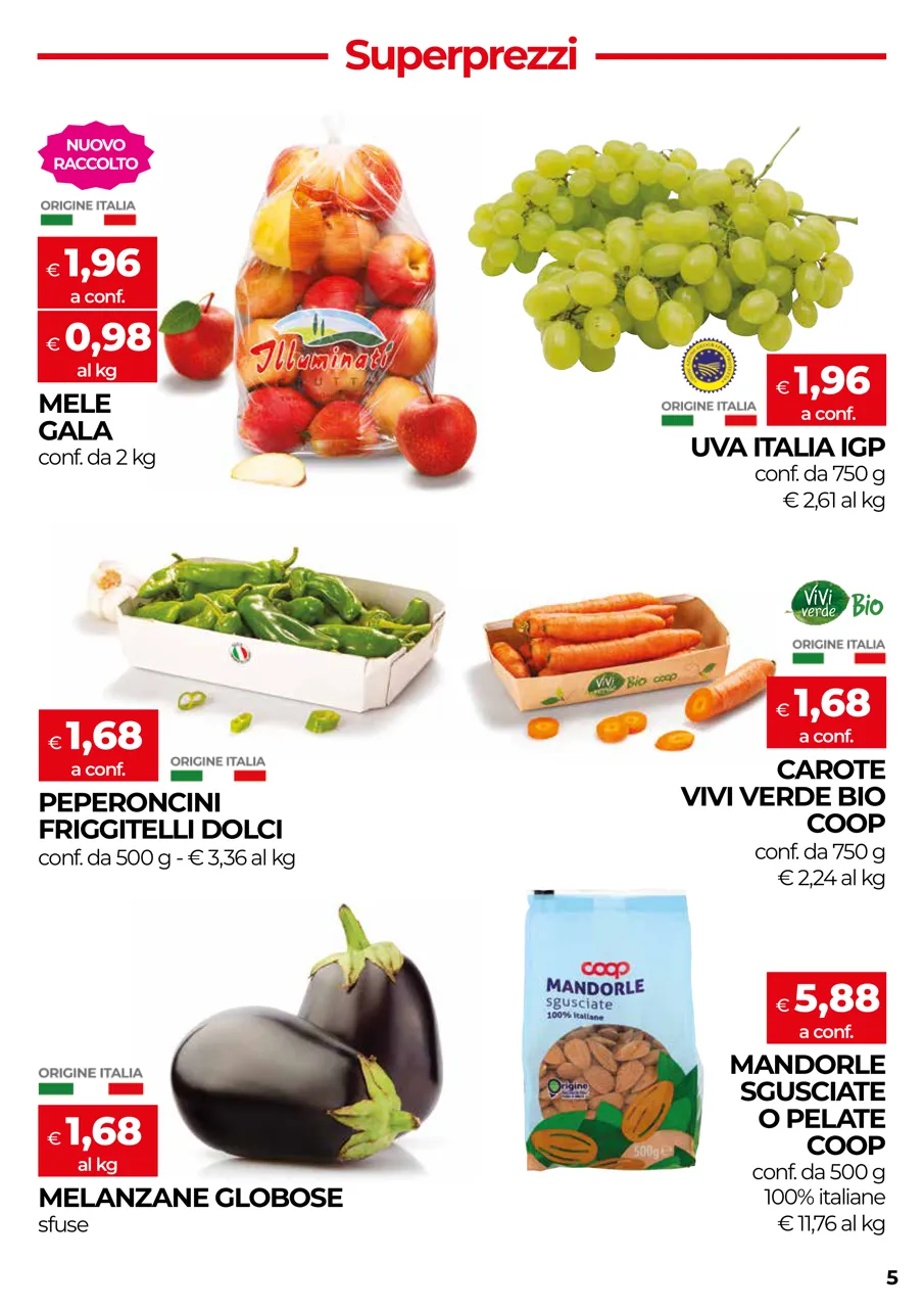 Pagina 5