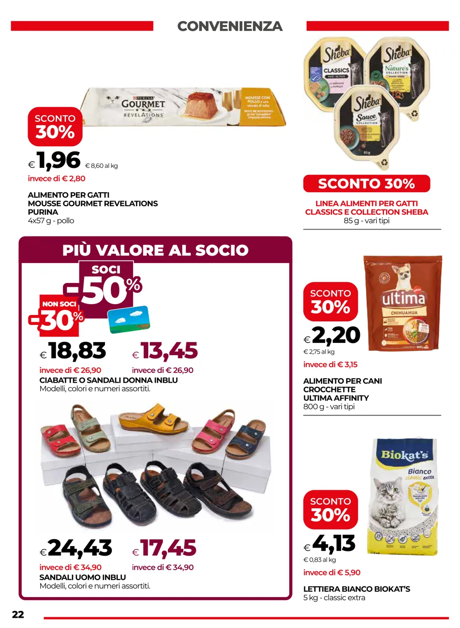 Pagina 22
