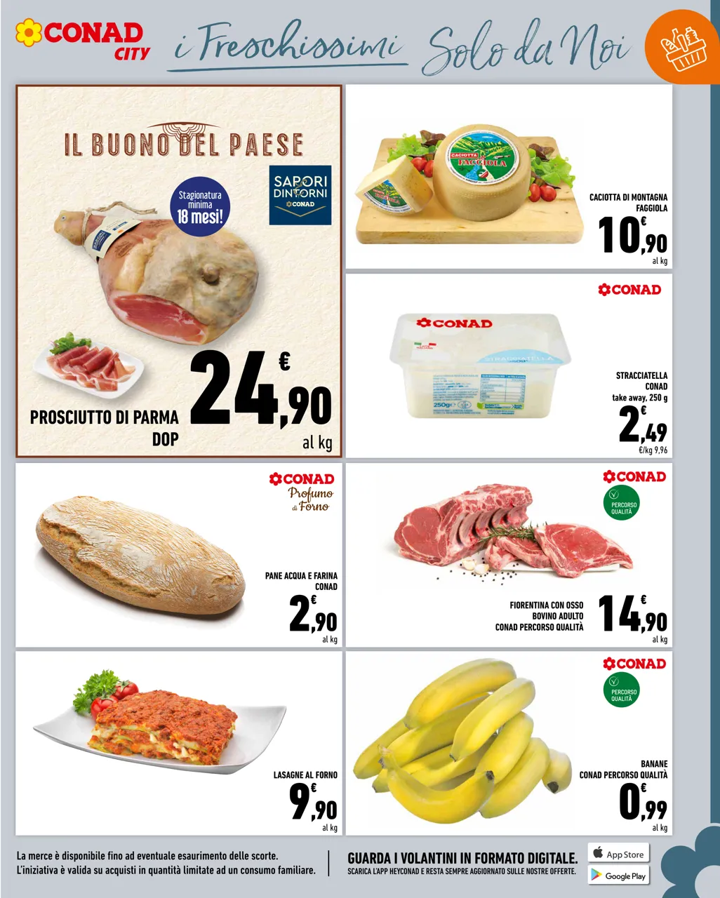 Pagina 13