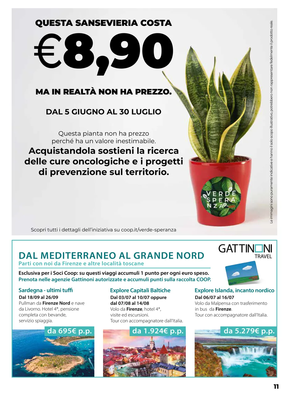 Pagina 11