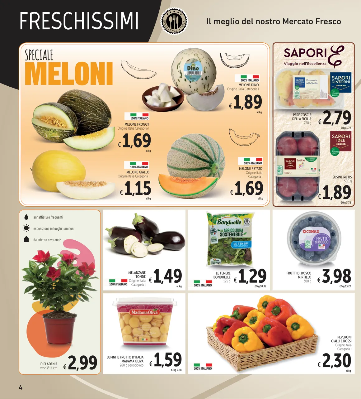 Pagina 4