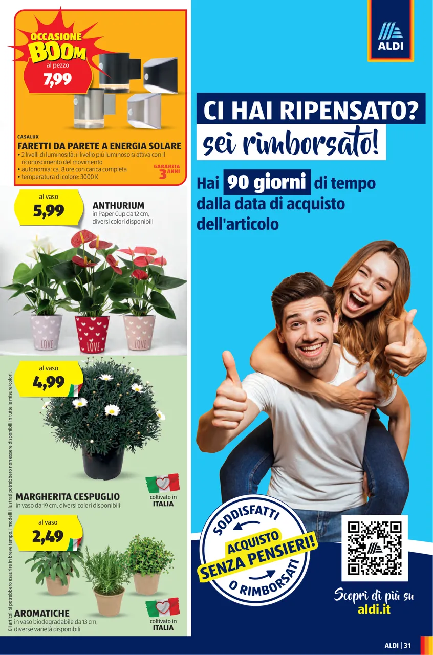 Pagina 31