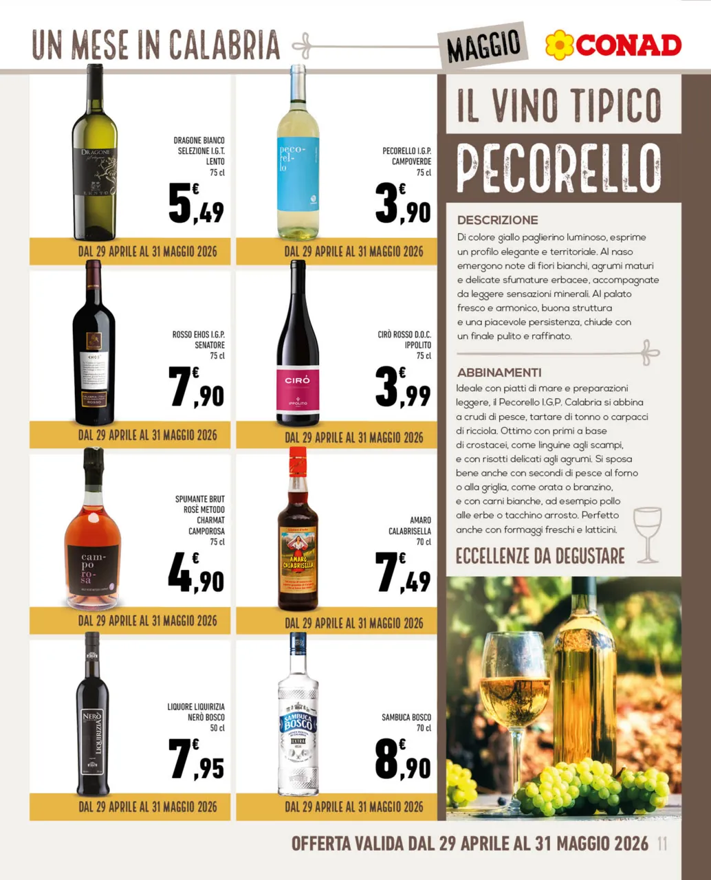 Pagina 11
