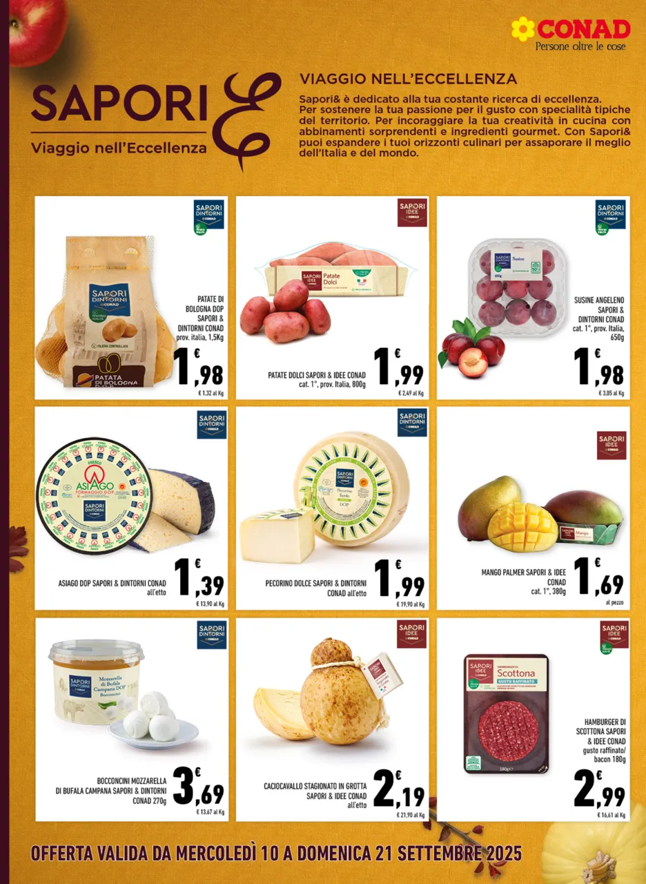Pagina 6