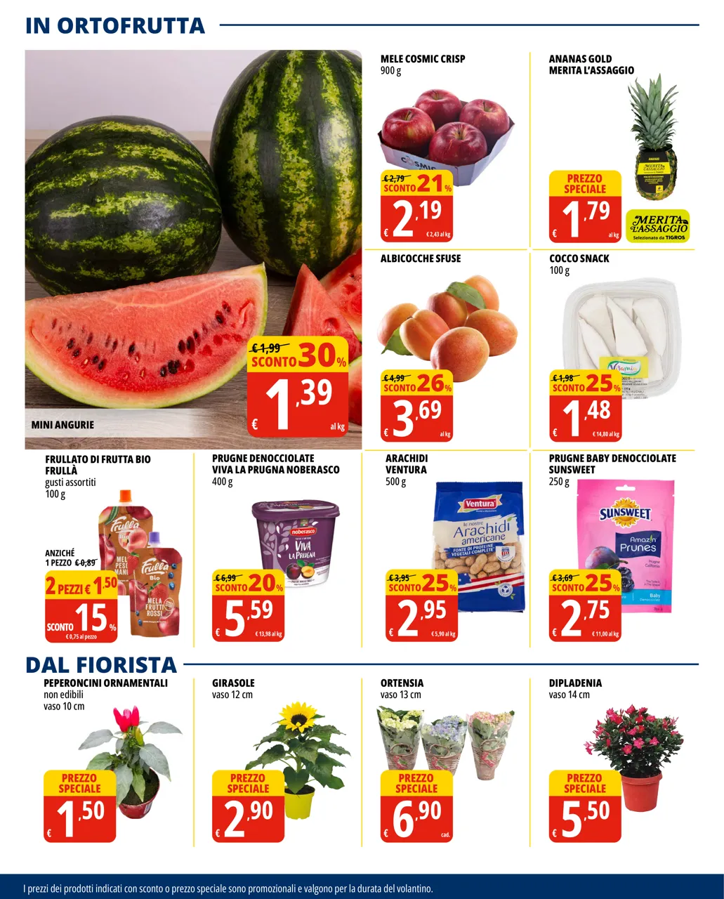 Pagina 6