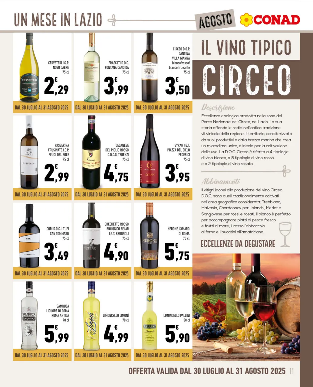 Pagina 11