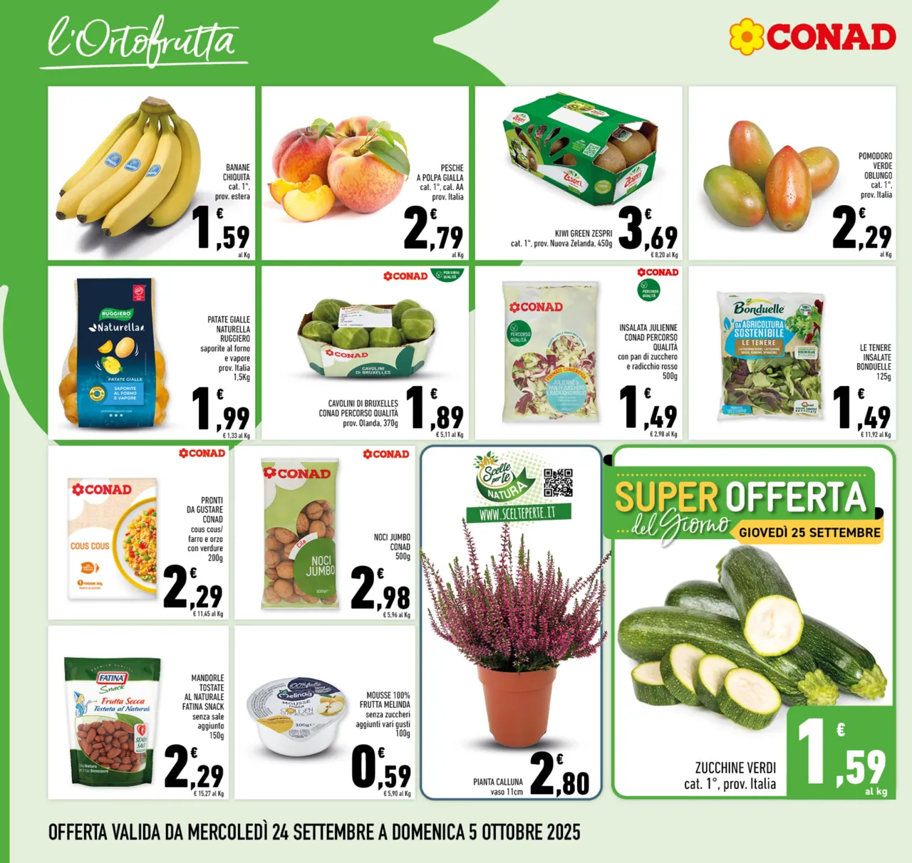 Pagina 2