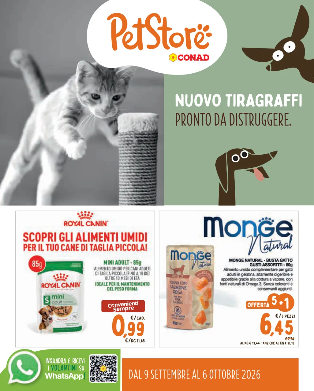 Pagina 1