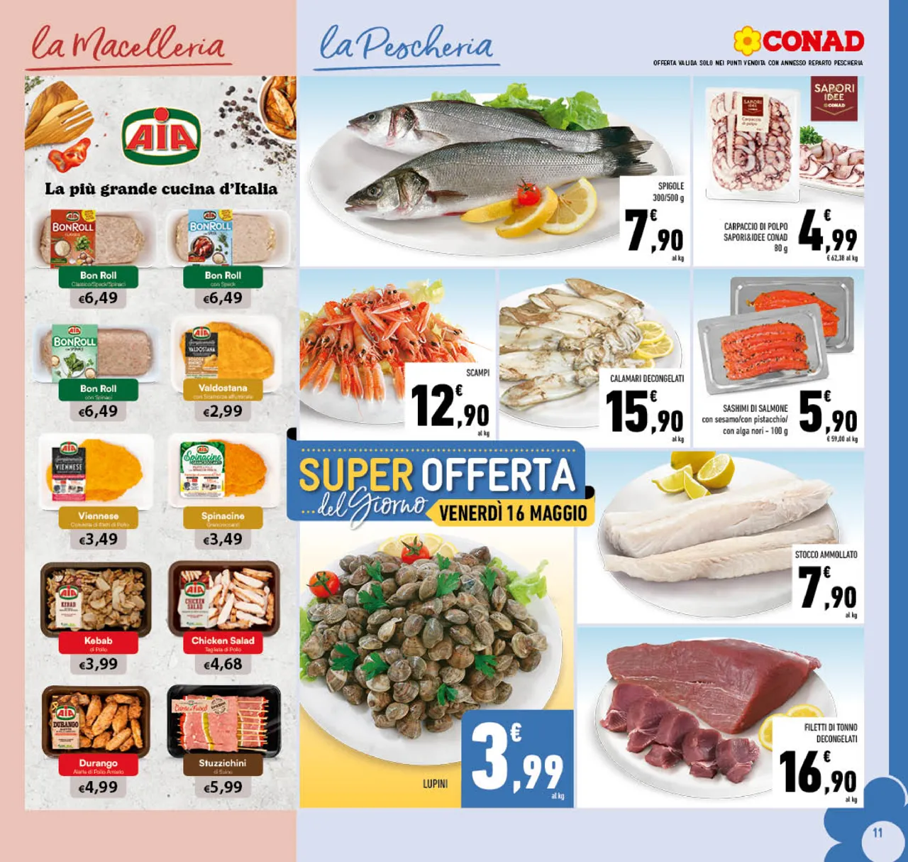 Pagina 11