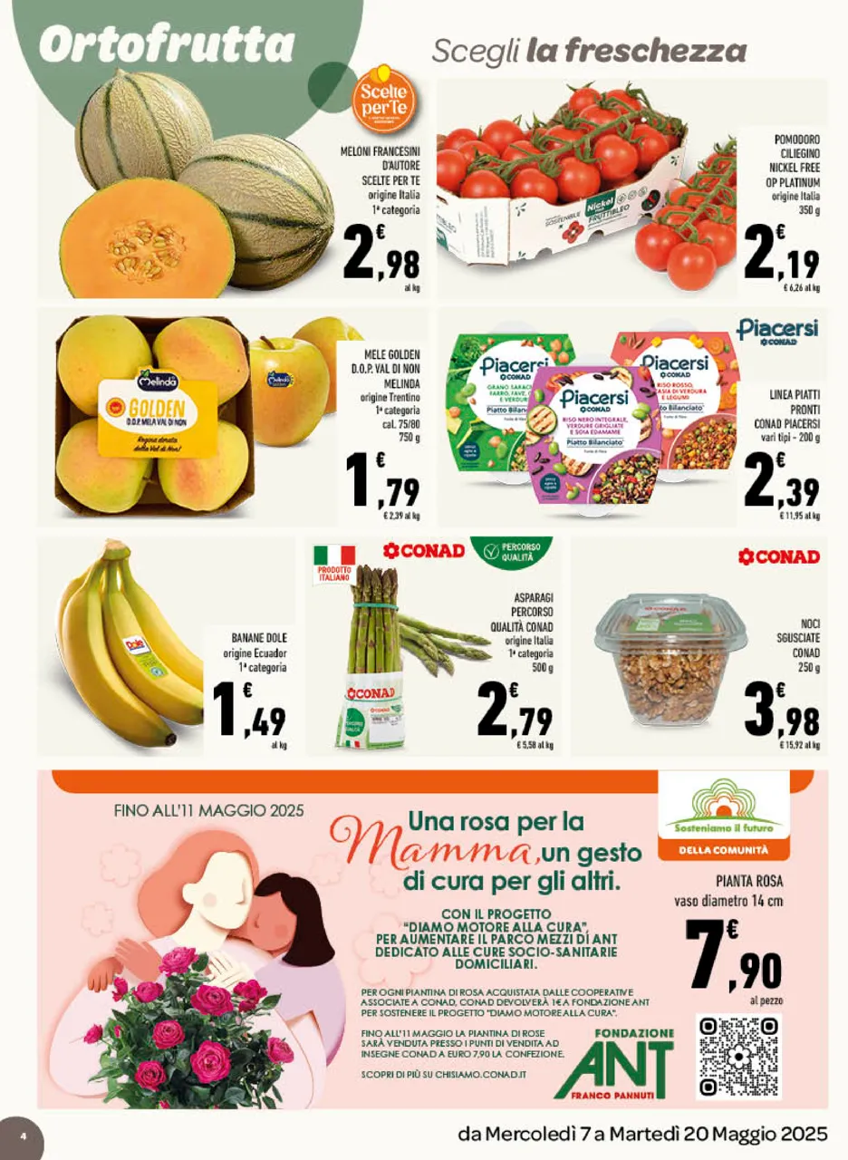 Pagina 4