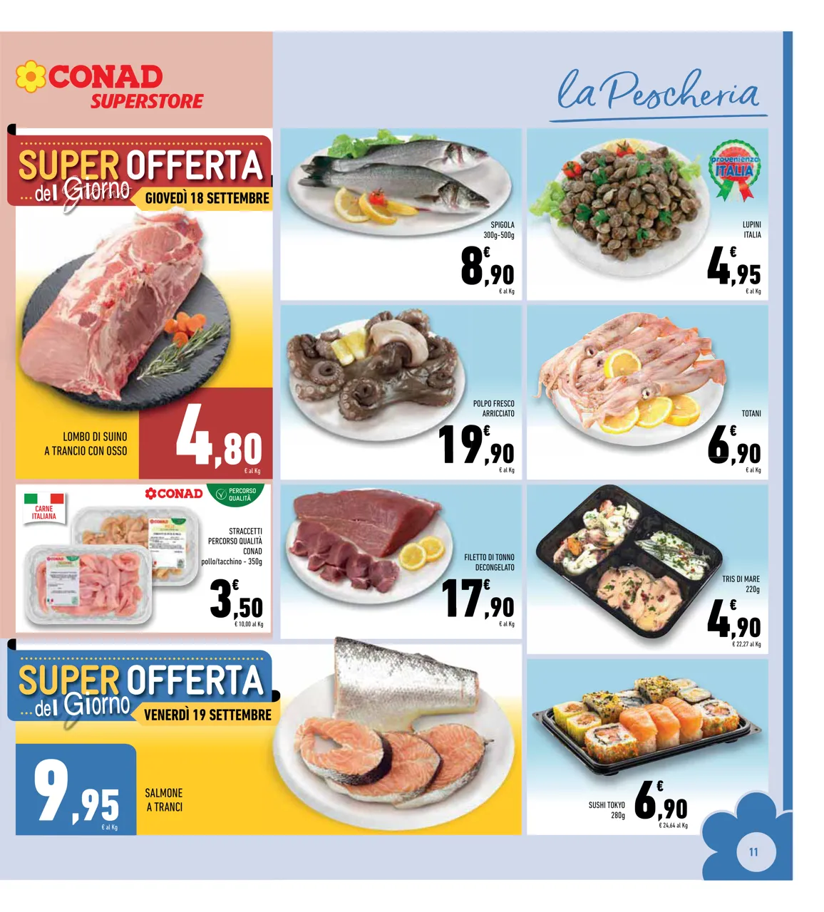 Pagina 11