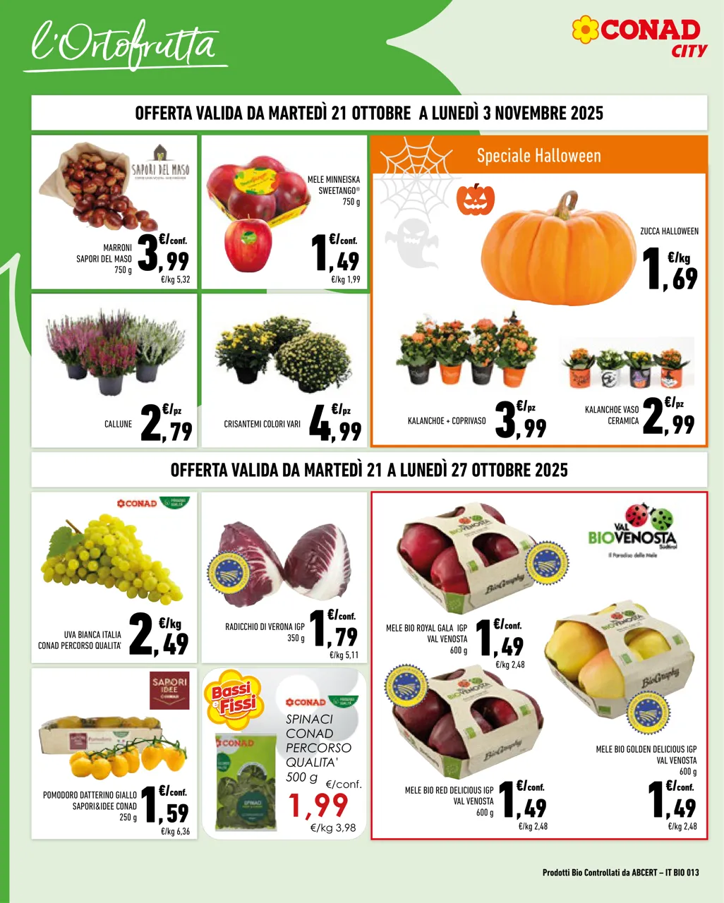 Pagina 2