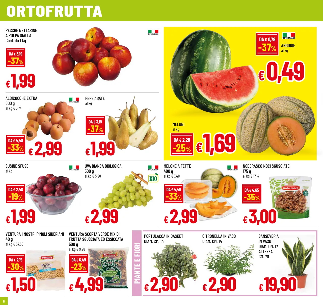 Pagina 6