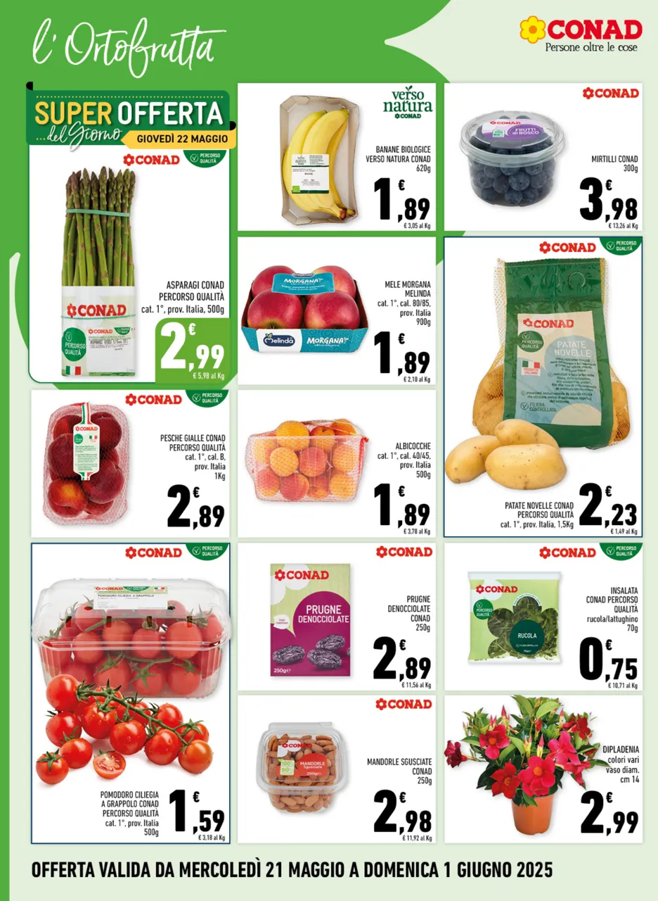 Pagina 2