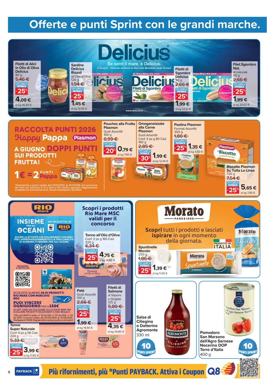 Pagina 8