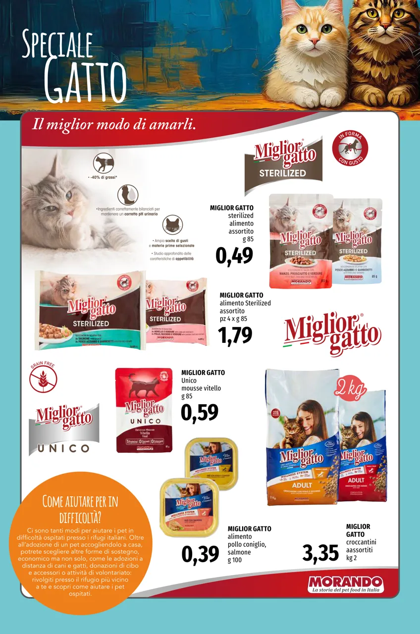 Pagina 6