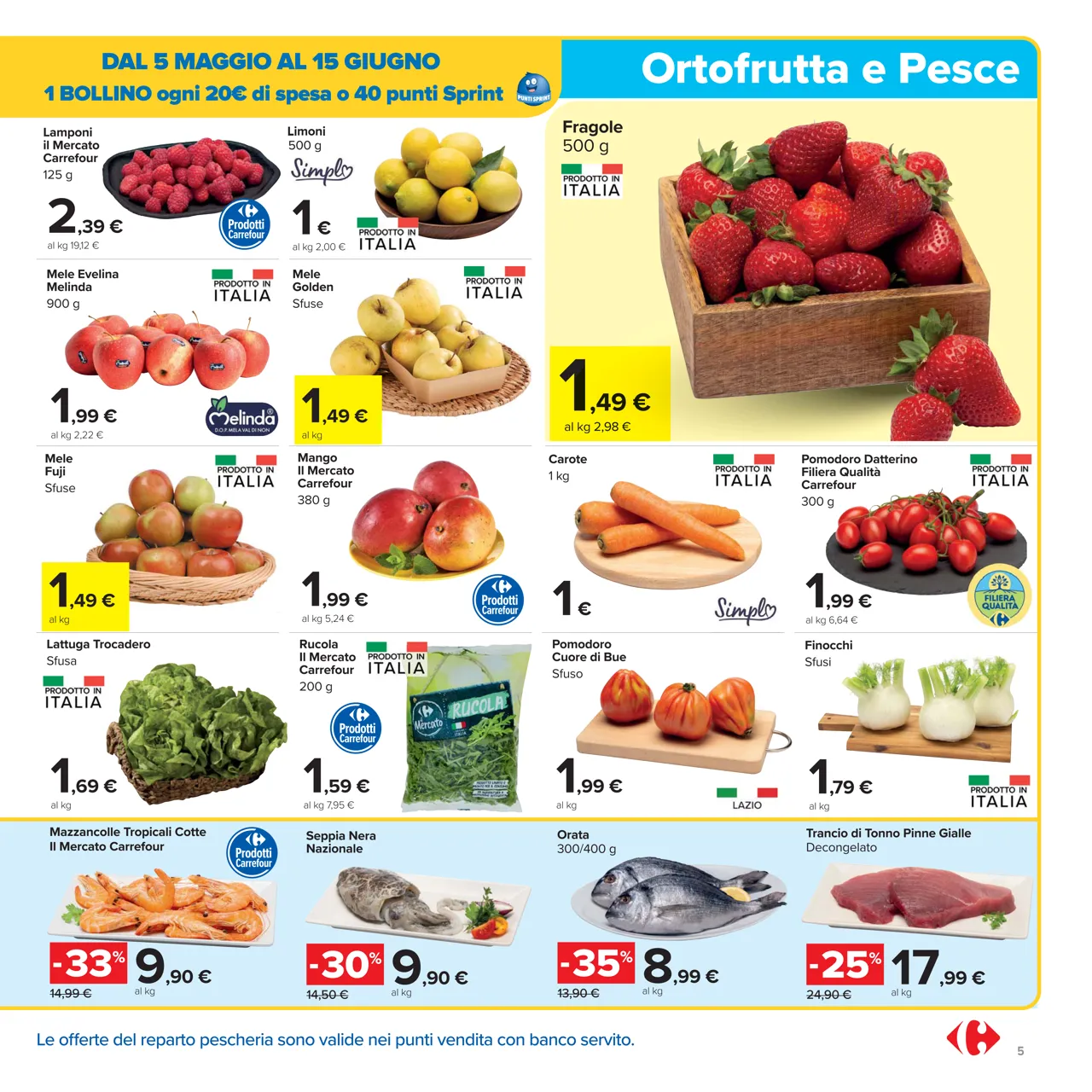 Pagina 5