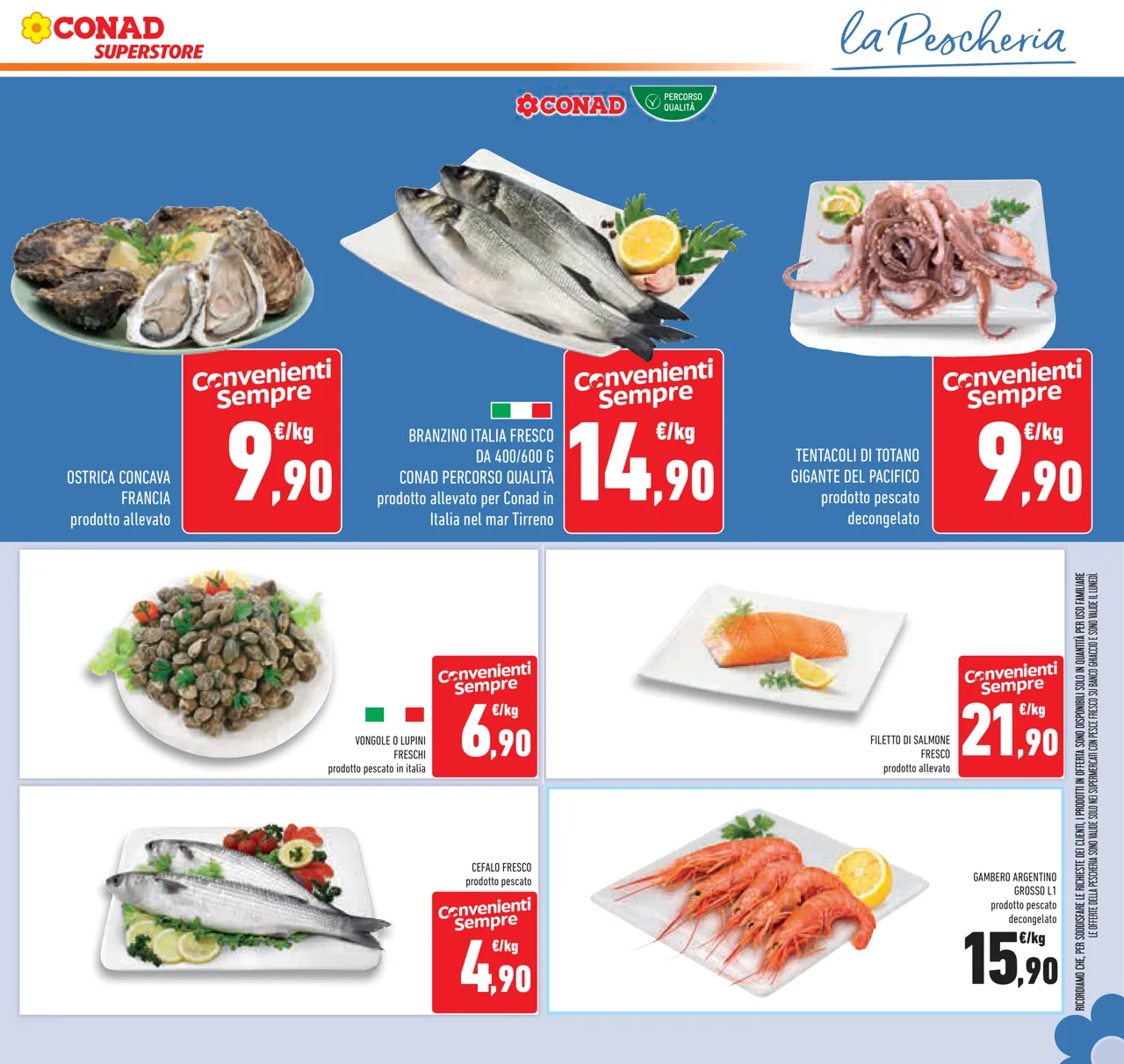 Pagina 11
